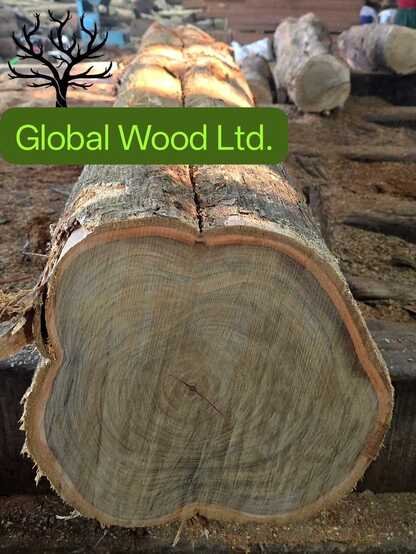 Garjan Wood